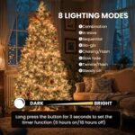 75 ft Fairy String Lights