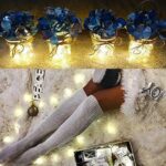 Micro Fairy Lights